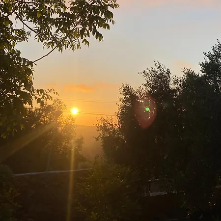 Gasthof Art House Krujë