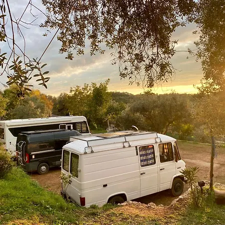 Gasthof Art House Krujë