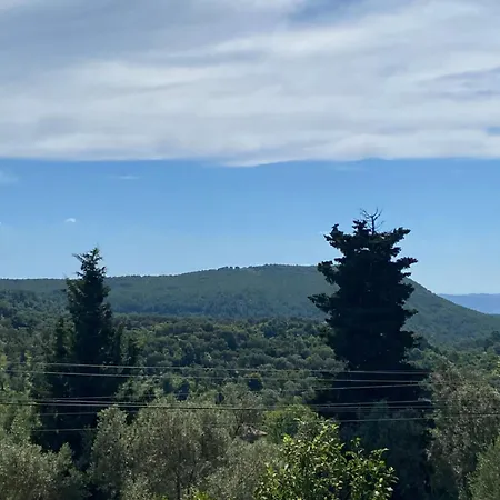 Art House * Κρούγια