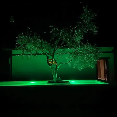 Art House Κρούγια