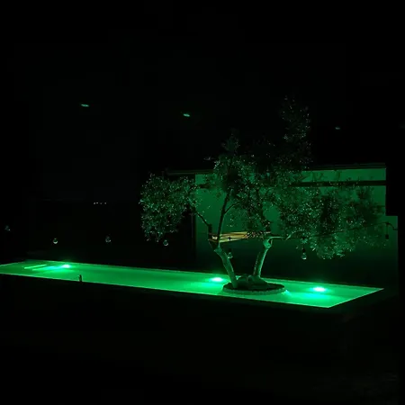 Art House بيت ضيافة