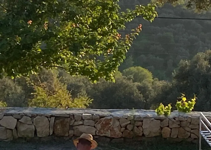 Art House * Krujë