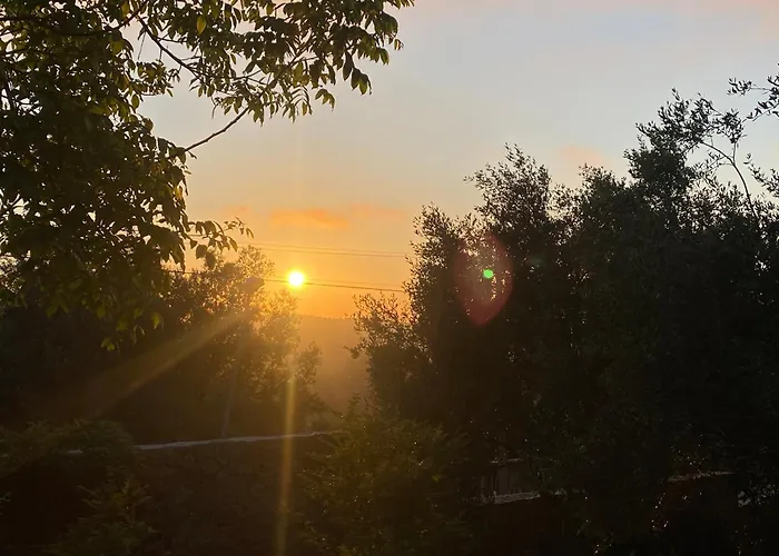 Penzion Art House Krujë